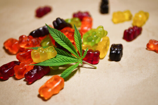 CBD Gummies and Daily Balance